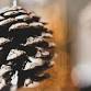Langdon Christmas Market event image