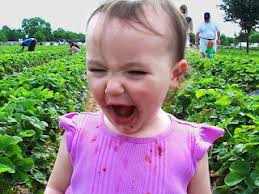 Man o' Law: 09/01/2008