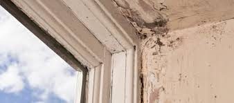 Diy fixing rotted window sills, rotten wood repair with epoxy. Wood Rot Repair In Richmond Va Dependable Home Services