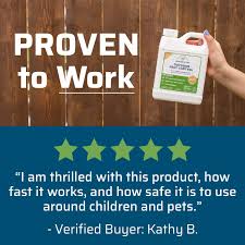 Total pest control have over 40 years experience to help. Amazon Com Wondercide Ecotreat Outdoor Pest Control Spray Concentrate With Natural Essential Oils Mosquito Ant Roach And Insect Killer Treatment And Repellent Safe For Pets Plants Kids 16 Oz Pet Supplies