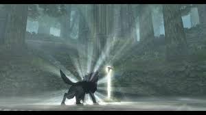 To acquire the master sword, you'll need 13 full coronary heart containers. Twilight Princess Walkthrough The Master Sword Zelda Dungeon