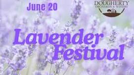 Lavender Festival at Dougherty Orchards