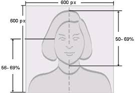 Check spelling or type a new query. Us Visa Application Photo Tool Blog Lif Co Id