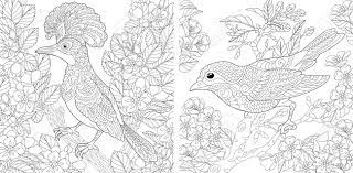 Many details are hidden in these adults floral coloring pages prepare your pens, make yourself comfortable in your garden. Adult Coloring Pages Beautiful Birds In The Spring Garden Line Art Design For Antistress Colouring Book In Zentangle Style Vector Illustration Royalty Free Cliparts Vectors And Stock Illustration Image 146991223