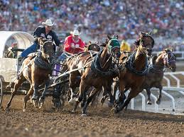 Every year proceeds from the lottery are directly reinvested in the community through calgary stampede and their service club partners: Calgary Stampede Alberta Canada