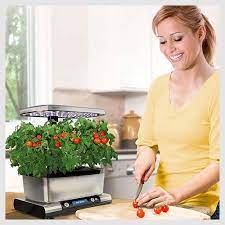 It is quick, easy and doesn't cost a lot. Best Grow Lights For Vegetables