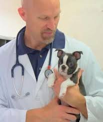 The original location of the practice was in a cinder block building located on highway 52 across…. Dr Godman