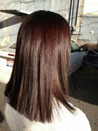 Transformational Blue Shampoo For Brunettes Thekriksters In 2020 Brunette Hair Color Brown Hair Shades Brown Blonde Hair