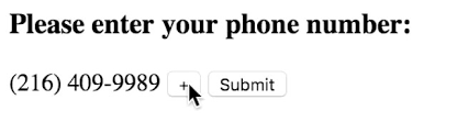 Hilariously Bad Phone Number Web Forms