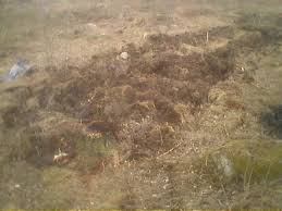 Image result for site:byggahus.se Linköping