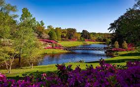 300 garden city plaza, suite 144 garden city, ny 11530 tel: Cordell Associates Llc Linkedin