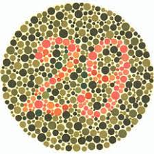 Since then this is the most widely used color vision deficiency test and still used by most optometrists and ophthalmologists all around the world. Ishihara S Test For Colour Deficiency 38 Plates Edition Colblindor