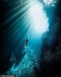 What A Catch Glamorous Spear Fishing Champion Water Photography Underwater Photography Underwater Photos