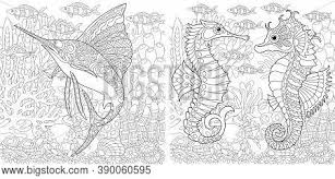 Using the red alt i like your colors page, you can find all color codes used by any web page on. Coloring Page Vector Photo Free Trial Bigstock
