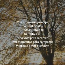 Poemas Para Conquistar 3 Poemas Romanticos Cortos Poemas Romanticos Poemas De Amor