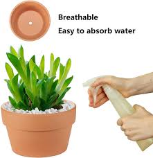 Learn a few tips and tricks on how to plant a cactus safely! Mini Terra Cotta Pots Sale Recipes With More