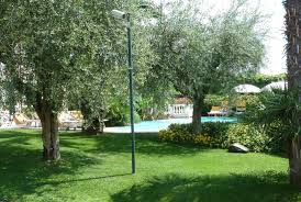 Mit einer reproduktion ein teil des gartens asylum können sie den eigenen vier wänden einen sehr vincent van gogh hat viele großartigen werke geschaffen. Teil Des Gartens Picture Of Residence Hotel Olimpia Lazise Tripadvisor