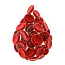 Benzene Blood My Labs For Life