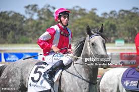 170 Jangles Stock Photos, High-Res Pictures, and Images