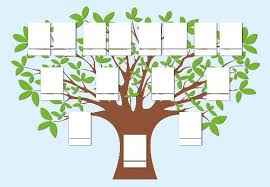 Mit diesen stammbaum vorlagen erstellen sie ihren familienstammbaum im handumdrehen. Stammbaum Vorlage Vorlagen Gratis