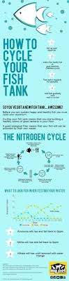 A Wonderful Easy To Understand Chart On Cycling Your Fish Tank How To Cycle Yo Fresh Water Fish Tank Pet Fish Aquarium Fish