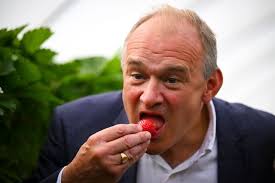 False widow spider spotted in Yeovil greenhouse sparks warning to public