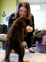 We did not find results for: Get A Puppy Delivered To Your Office For A Snuggle