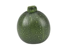 Check spelling or type a new query. Squash Zucchini Round Sps Idaho Inc