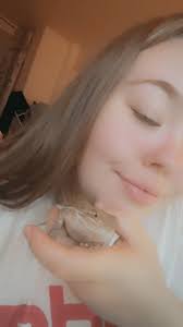 Bearded Dragons Lovers