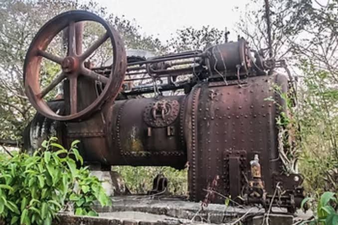 Fazenda &agrave;s margens do Rio Paraguai abriga s&iacute;tio arqueol&oacute;gico e urnas ind&iacute;genas