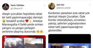 'ateşin çocukları i̇nisiyatifi' isimli örgüt, 2019 ağustos ayında 27 farklı yerde çıkan yangınları üstlenmişti. Hcvdvzlvdcym3m