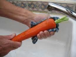 If using carrots harvested from your own garden, you will likely need to scrub them with a vegetable brush to remove the dirt. Growing Stump Rooted Carrots For Show Cultivation To Show