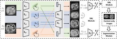 Unsupervised Domain Adaptation Via Disentangled Representations Application To Cross Modality Liver Segmentation Arxiv Vanity