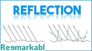 Absorption by roots by Prof. Mandar Oak, DM Tutorials