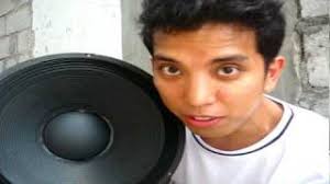 My raw speaker drivers