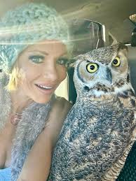 Petition · Save Oaky the Great Horned Owl