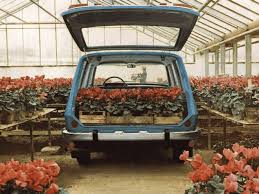 Image result for Grauweiss 1968 Wartburg