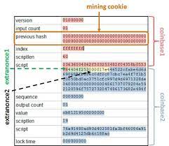 The concept of a bitcoin transaction is to transfer the responsibility of an amount of bitcoin address. Coinbase Transaction Format The Fields In The Table Are The Underlying Download Scientific Diagram