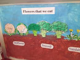 We did not find results for: We Made Posters To Show The Parts Of A Plant We Can Eat Roots Leaves And Flowers This One Shows The Poster Of The Flow Farm School Parts Of A Plant