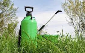 How do mosquito yard sprays work? Spraying For Backyard Insects Arizona Pest Control Tips