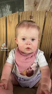 Exploring the Unique Taste of Longan Fruit