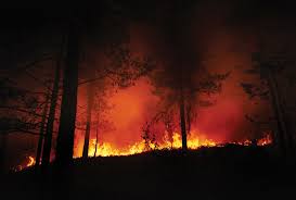 Rundt klokka 20.00 opplyser en representant fra drammensregionens brannvesen til bygdeposten at brannen er slukket og at de raskt fikk kontroll over brannen. Skogbrann Baerekraftig Skogbruk I Norge