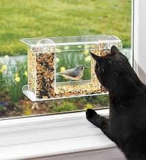 Birds Outside My Window Meme 23 Insanely Clever Products Every Cat Owner Will Want Window Bird Feeder Bird Feeders Window Mounted Bird Feeder