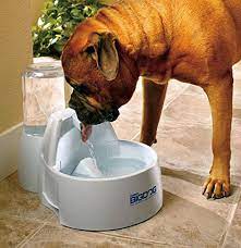 The square fountain design is large enough for several pets to drink. Petsafe Drinkwell Big Dog Water Fountain 8 5 Litres Great For Large Breeds And Multiple Pets Pimped Pets