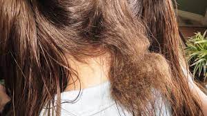 If your hair is very tangled, then you will want to detangle it first. How To Get A Hair Knot Out A Giant Knot Hair Knot Huge Hair Hair Detangler