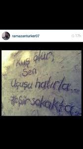 Kus Olur Sen Ucusu Hatirla Furug Ferruhzad Siir Kus