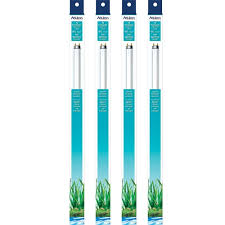 Aqueon Replacement 24 Inch Daylight 17w T8 Fluorescent Aquarium Lamp Four Pack Package