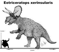 Eotriceratops Xerinsularis By Teratophoneus Prehistoric Wildlife Animal Skeletons Prehistoric Creatures