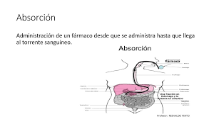 Se define como el aislamiento de microorganismos patógenos en un hemocultivo. Que Es Torrente Sanguineo Flujo Escarlata