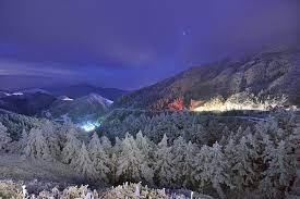 合歡山武嶺 雪樹之夜 night of snow tree travel natural landmarks pictures